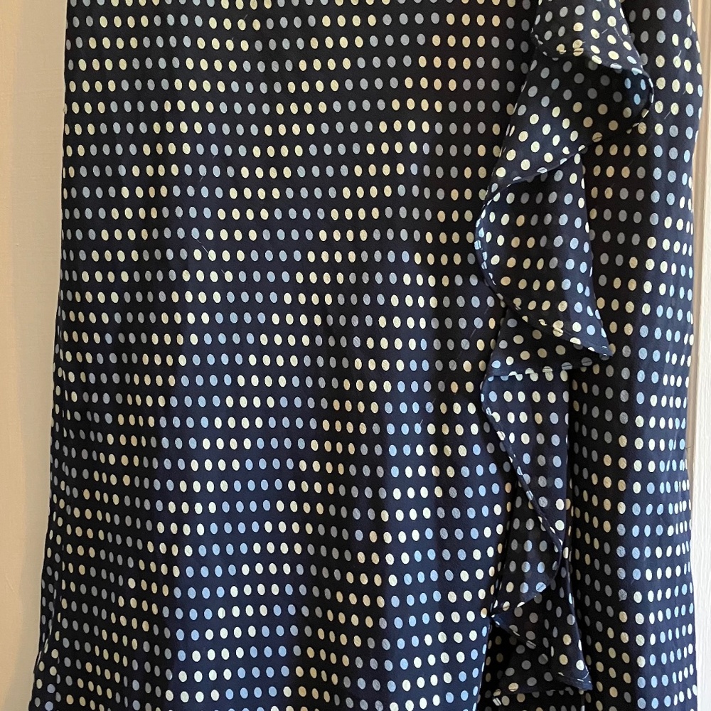 Ann Taylor Loft lined silk skirt